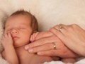 newborn-parents-hands